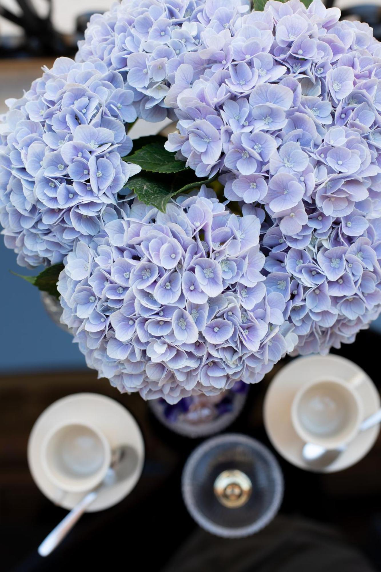 Belli Boutique Guest House 로마 외부 사진
