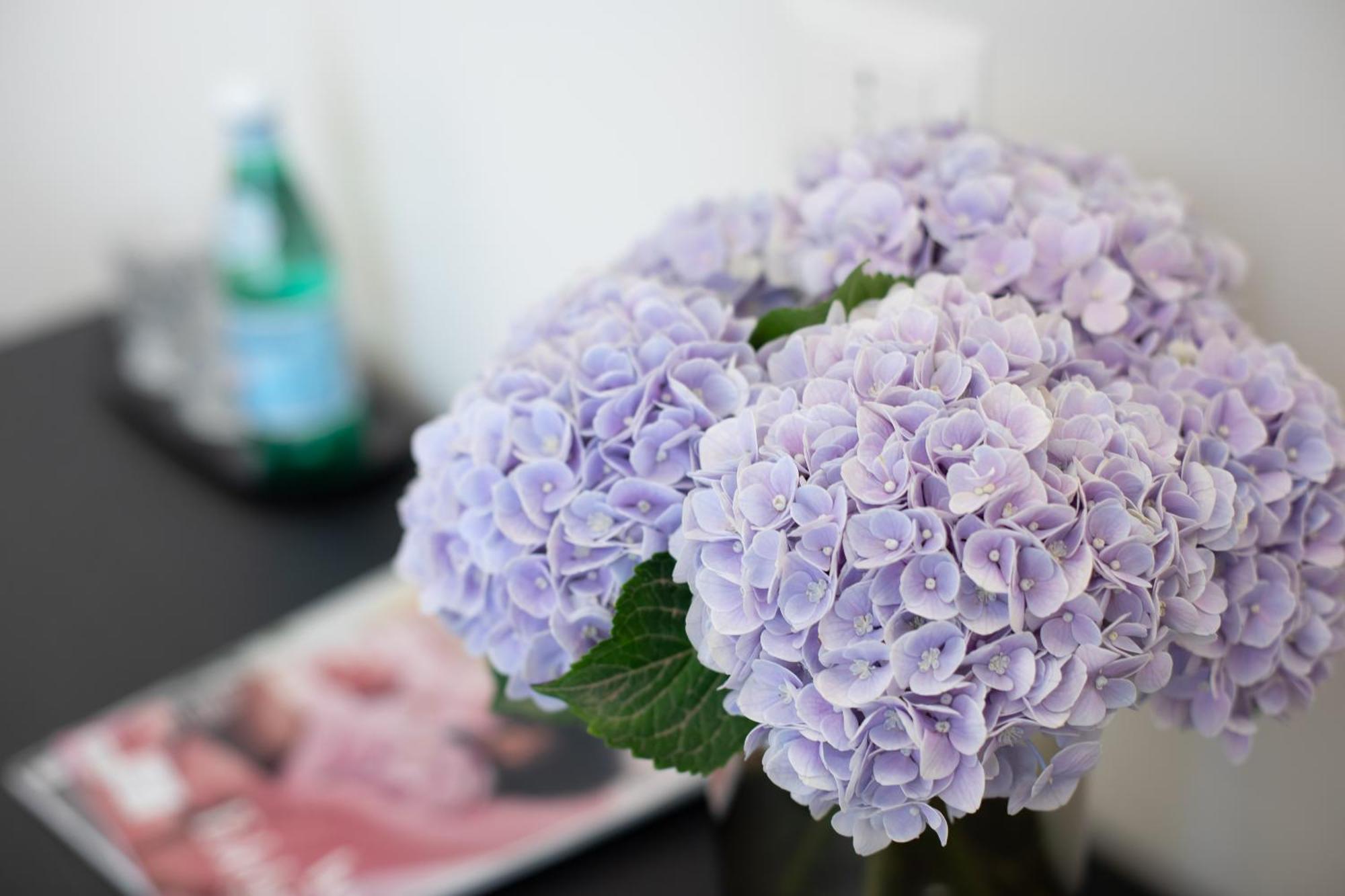 Belli Boutique Guest House 로마 외부 사진